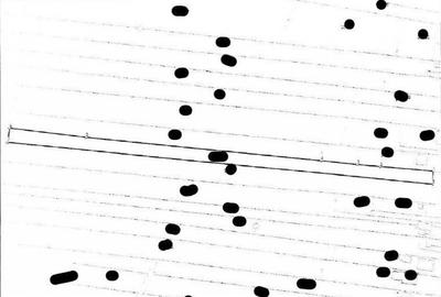 Teren cota parte de 1/4 Valenii de Munte, ID: R2643899 Teren cota parte de 1/4 Valenii de Munte, ID: R2643899 - 7