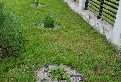 Casă cu 3 camere cu Teren 3000 Mp în Slătioara - 17