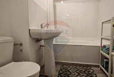 Apartament cu 3 camere de inchiriat in zona Titulescu - 8