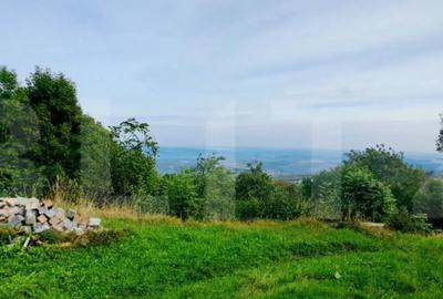 Teren de 1710 mp, în Feleacu - 3