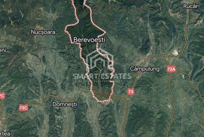 Berevoesti - Jud. Arges - Teren Intravilan 14.400 mp - Comision 0% - 1
