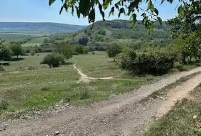 Teren de 3300 mp, în Central - 2