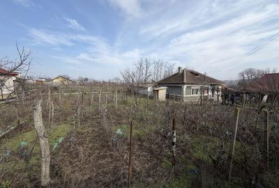 Casă cu 3 camere în Central - 1