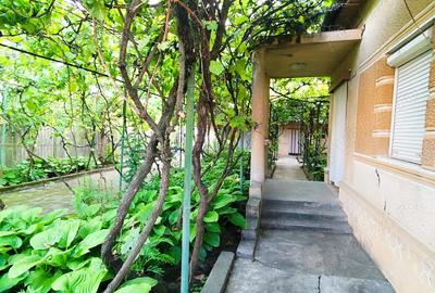 Casa de Vanzare, Sintea Mare, 6 km de orasul Chisineu Cris - 6