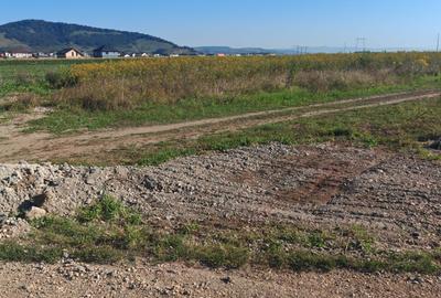 Teren Intravilan de vanzare - 1