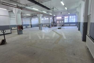 Spațiu industrial, de 3,600 mp, în Theodor Pallady