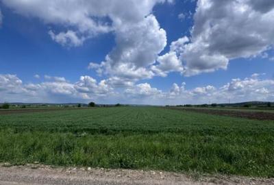 Teren extravilan, 1 hectar, Volovat - 2