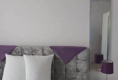 Apartament cu 2 camere semidecomandat în Dudu - 1