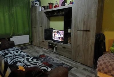 Apartament 1 camera in bloc de apartamente, parter, zona Vlaicu, recent renovat - 17