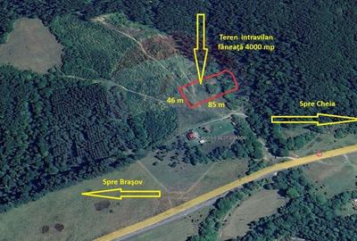 Teren Construcții intravilan de 4003 mp, în Babarunca - 1
