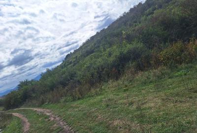 Teren extravilan 700mp in Gusterita. - 2