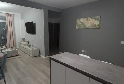 Apartament cu 3 camere în Dumbrăvița - 16