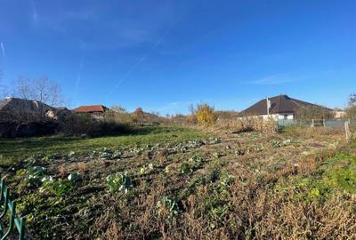 Spațiu comercial, în Mușătești - 6