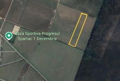 Teren Construcții intravilan de 19300 mp, în 1 Decembrie - 1