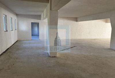 Spațiu Comercial, 400 mp utili - zona Grivitei - 4