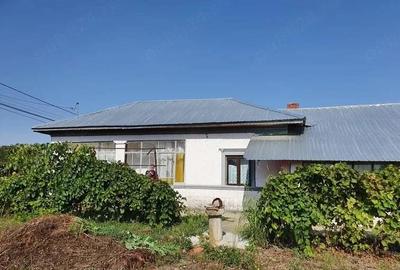 Casă cu 4 camere cu Teren 1900 Mp în Valea Popii - 10