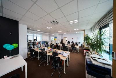 Birouri cu depozit de închiriat - 30