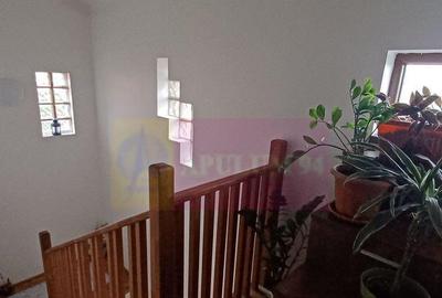 Sabareni, casa 2011, P+M 4 camere + dependin?e, curte... - 8