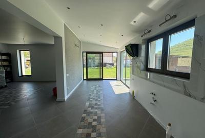 0% comision Casa individuala P+E+Pod-1000 mp teren - sat Pata - 3