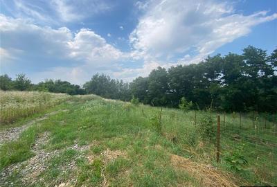 Teren Construcții intravilan de 500 mp, în Fălticeni - 4