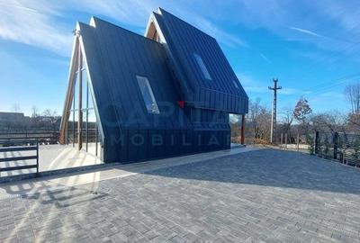 Oportunitate! Casa de vacanta A-frame, judetul Arges - 4