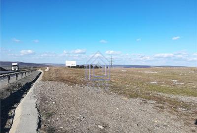 Teren de 11600 mp, în Șcheia - 1