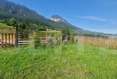 Teren de 1004 mp, în Zărnești - 4