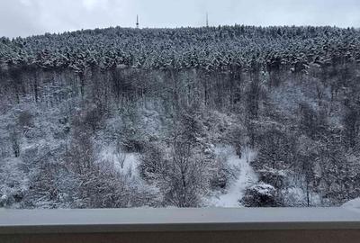 Apartament 2 camere,decomandat,de inchiriat termen lung,Racadau - 3