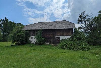 Casa 115 m sat Pomi 1 Hectar pamant - 2