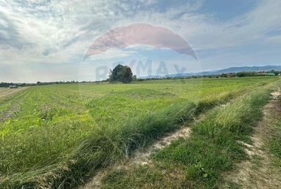 DE VANZARE- Teren INTRAVILAN in Coltau - 1