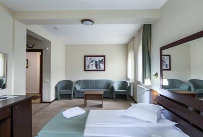 Pensiune de lux In Busteni - 11