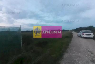 Teren de 3820 mp, în 1 Decembrie - 18