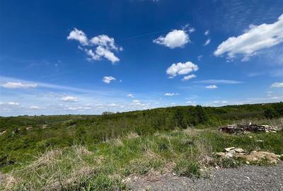 Teren Construcții extravilan de 8200 mp, în Central - 7