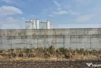Teren de 15000 mp, în Dumbrăvița - 2