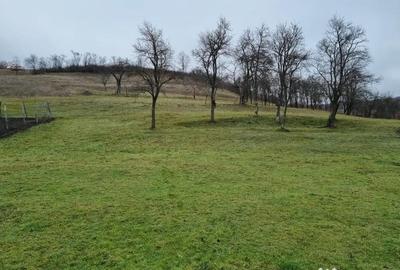 Teren de 67000 mp, în Orbău - 6
