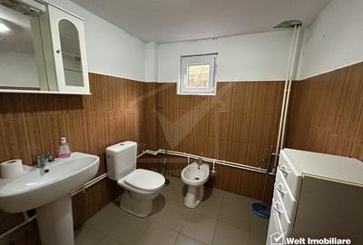 Oportunitate unica! 5ha + 2 cabane de vacanta in Valea Ierii - 14