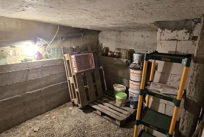 Casă cu 5 camere cu Teren 3552 Mp în Bălușeni - 8