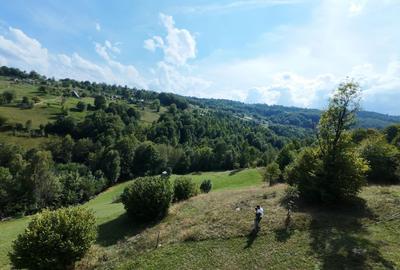 Teren de 10000 mp, în Răchițele - 5