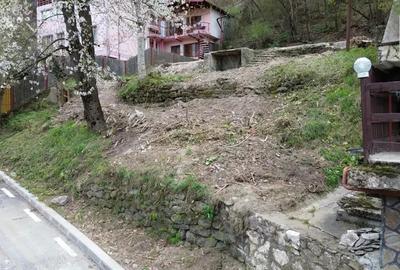 Teren Caciulata 650 mp Valcea - 3