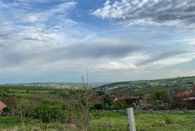 RECO Teren intravilan in  Saldabagiu de munte 985mp - 4