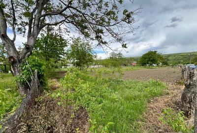 Casa + teren 4430 mp, vie si pomi fructiferi, 22 km de Tecuci - 9