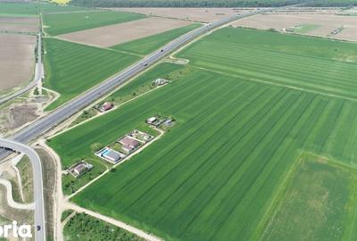 Teren de 40578 mp, în Ciorogârla - 8