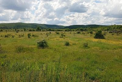 Teren de 1500 mp, în Merișani - 1