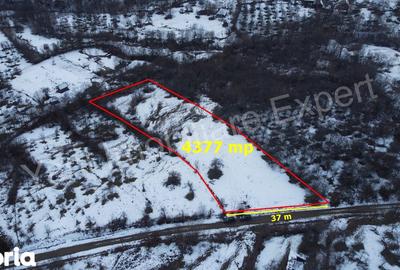 Teren de 4377 mp, în Bradu - 6