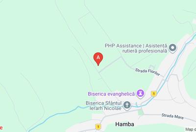 Teren agricol intravilan de 37700 mp, în Șura Mare - 1