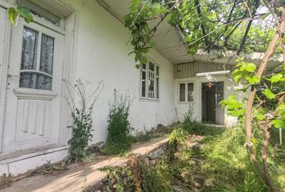 Casă cu 2 camere cu Teren 3972 Mp în Gura Idrici - 5