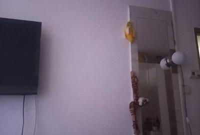 Vand apartament 2 camere