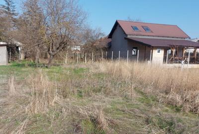 Teren intravilan Buftea Flamanzeni - 5