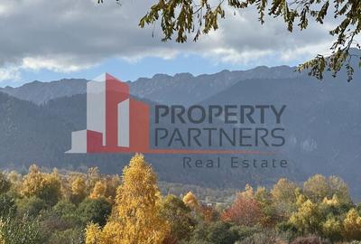 Teren Bran-Tohanita loturi intre 500/1000 mp - 3