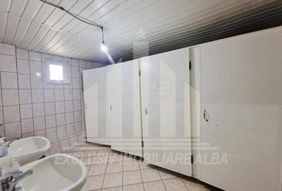 Spatiu industrial de inchiriat in Sebes - 9